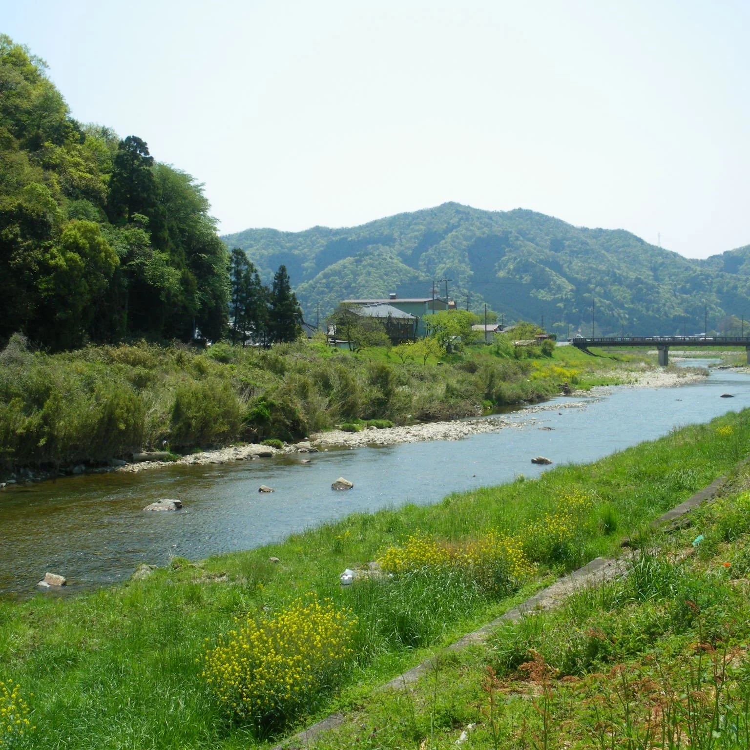 Adachi Jozo Kuromame Shoyu 1-Year Aged Tamba Black Soybean Soy Sauce 300ml - Image 5
