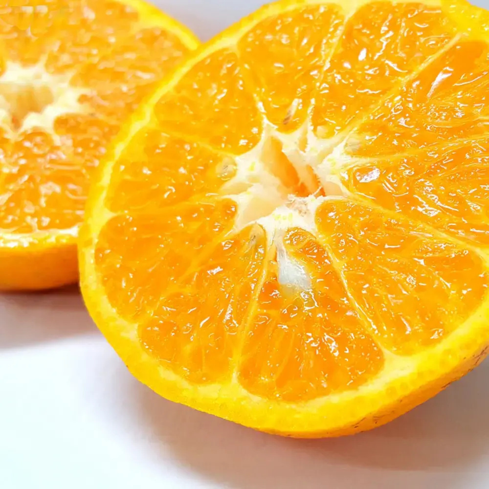 Chikyubatake Organic Handmade Ponkan Citrus Marmalade Jam 140g - Image 3