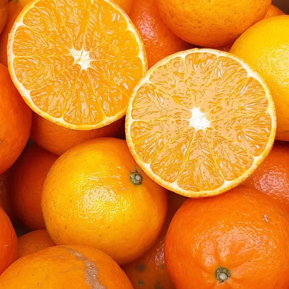 Chikyubatake Organic Handmade Tankan Citrus Marmalade Jam 140g - Image 3