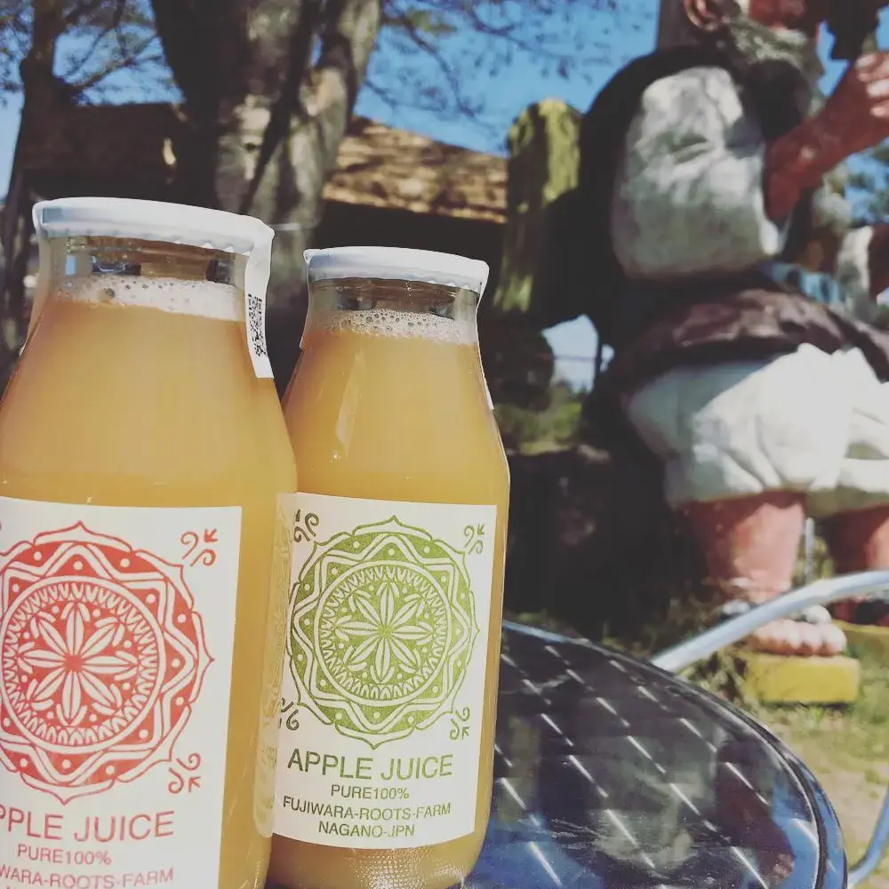 Fujiwara Roots Farm Pure Natural Nagano Apple Juice 180ml - Image 5