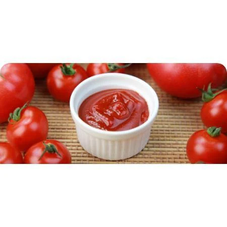 Kagome Low Sodium Japanese Organic Ketchup 300g - Image 2