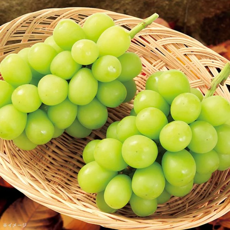 Lion Japanese Shine Muscat Grape Functional Hard Candy 71g - Image 3