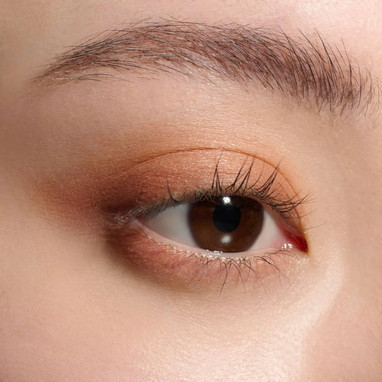Lunasol Eye Coloration N Eyeshadow Quad - Image 6