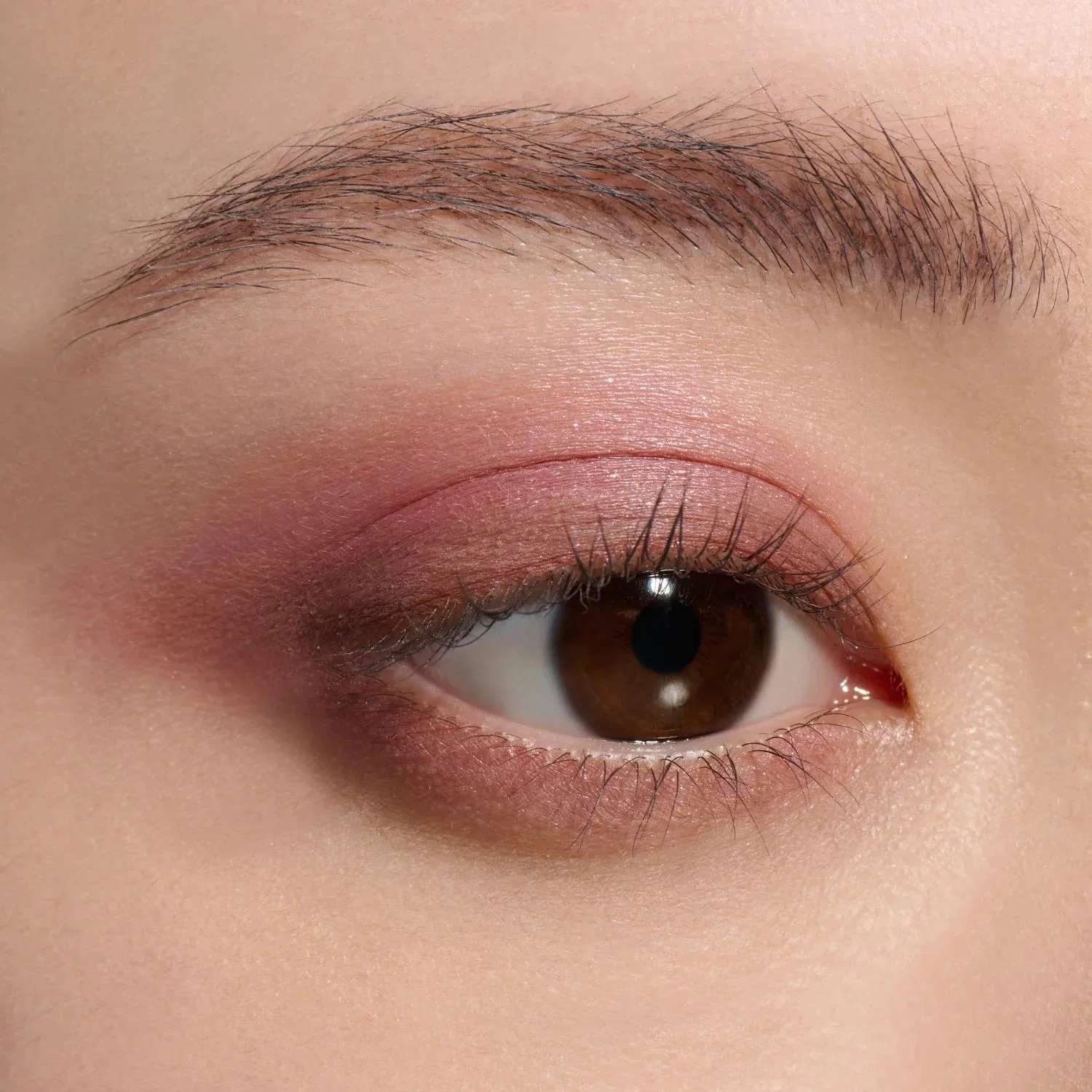 Lunasol Eye Coloration N Eyeshadow Quad - Image 9