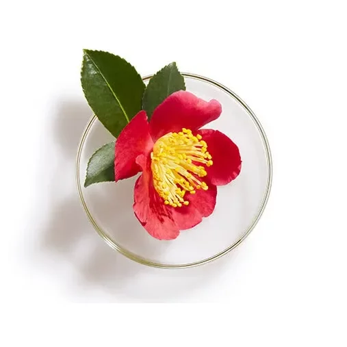 Tsubaki Shampoo Premium Volume & Repair Camellia Hair Shampoo 450ml - Image 5