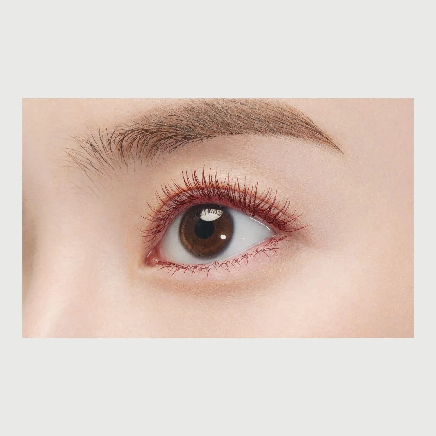 Flowfushi Mote Mascara Japanese Burgundy Colored Mascara 6g - Image 4